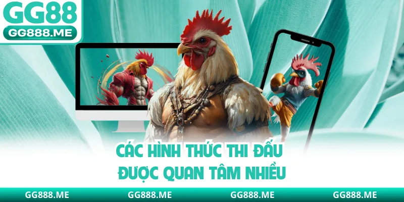 Các hình thức thi đấu được quan tâm nhiều